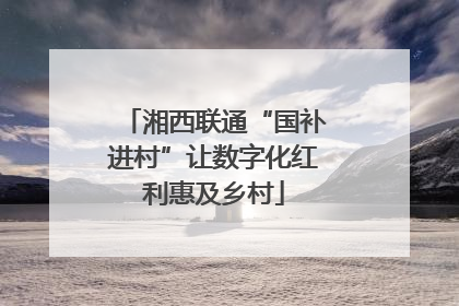 湘西联通“国补进村”让数字化红利惠及乡村