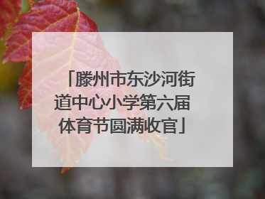 滕州市东沙河街道中心小学第六届体育节圆满收官