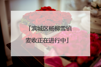 滨城区杨柳雪镇麦收正在进行中