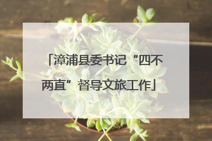 漳浦县委书记“四不两直”督导文旅工作