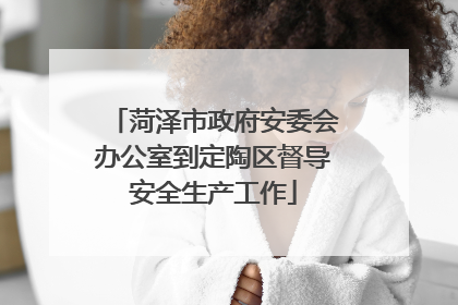 菏泽市政府安委会办公室到定陶区督导安全生产工作