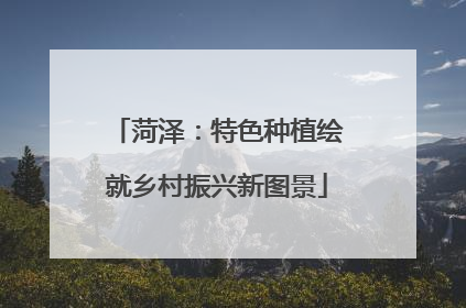 菏泽：特色种植绘就乡村振兴新图景