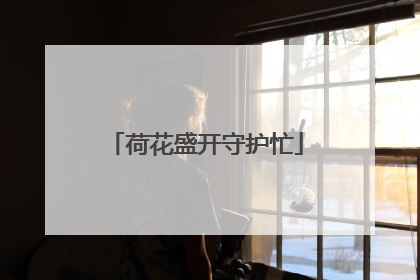 荷花盛开守护忙