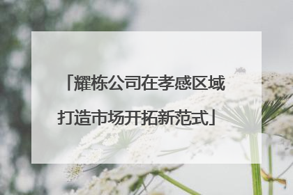 耀栋公司在孝感区域打造市场开拓新范式
