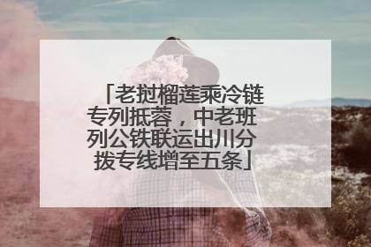 老挝榴莲乘冷链专列抵蓉，中老班列公铁联运出川分拨专线增至五条