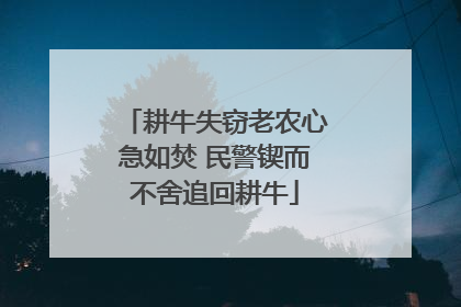 耕牛失窃老农心急如焚 民警锲而不舍追回耕牛