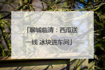 聊城临清：西瓜送一线 冰块进车间