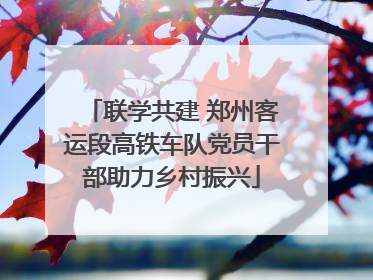 联学共建 郑州客运段高铁车队党员干部助力乡村振兴