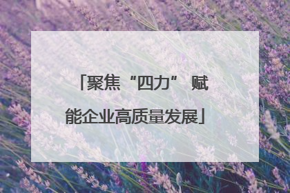 聚焦“四力” 赋能企业高质量发展