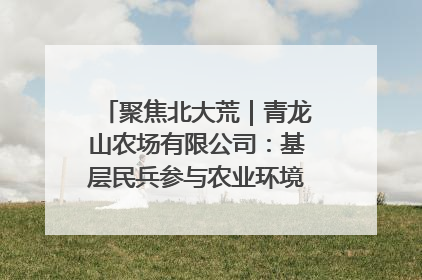 聚焦北大荒｜青龙山农场有限公司：基层民兵参与农业环境综合治理显效