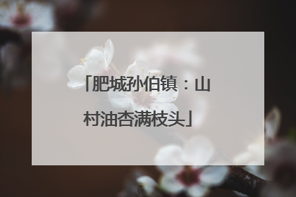 肥城孙伯镇：山村油杏满枝头