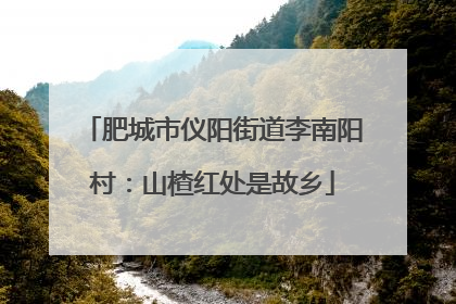 肥城市仪阳街道李南阳村：山楂红处是故乡