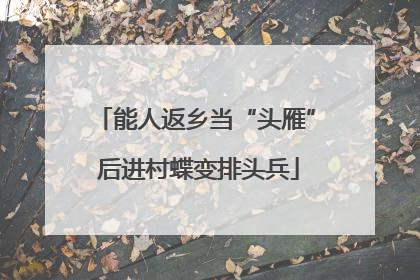 能人返乡当“头雁” 后进村蝶变排头兵