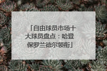 自由球员市场十大球员盘点：哈登保罗兰德尔领衔