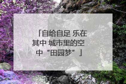 自给自足 乐在其中 城市里的空中“田园梦”