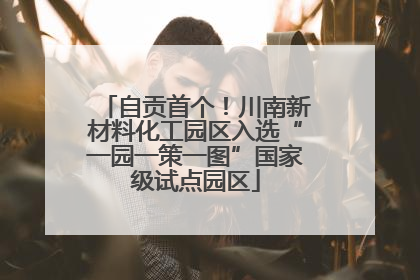 自贡首个！川南新材料化工园区入选“一园一策一图”国家级试点园区