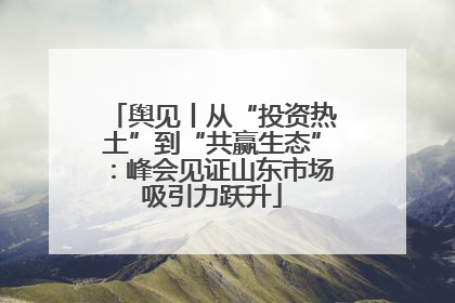 舆见丨从“投资热土”到“共赢生态”：峰会见证山东市场吸引力跃升