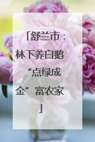 舒兰市：林下养白鹅 “点绿成金”富农家