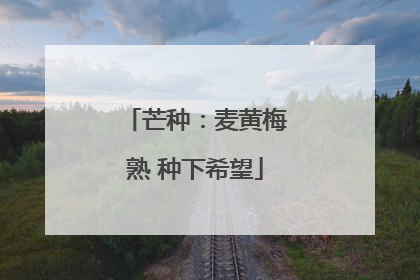 芒种：麦黄梅熟 种下希望