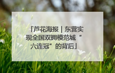 芦花海报｜东营实现全国双拥模范城“六连冠”的背后