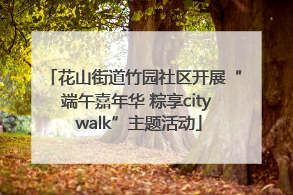 花山街道竹园社区开展“端午嘉年华 粽享city walk”主题活动