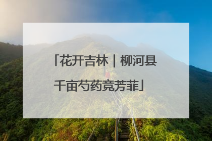 花开吉林｜柳河县千亩芍药竞芳菲
