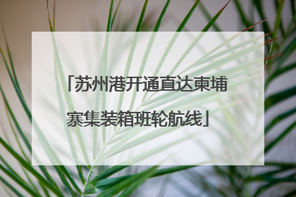 苏州港开通直达柬埔寨集装箱班轮航线