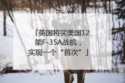 英国将买美国12架F-35A战机，实现一个“首次”
