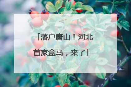 落户唐山！河北首家盒马，来了