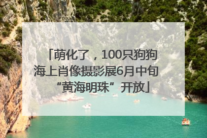 萌化了，100只狗狗海上肖像摄影展6月中旬“黄海明珠”开放