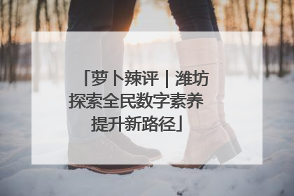 萝卜辣评｜潍坊探索全民数字素养提升新路径