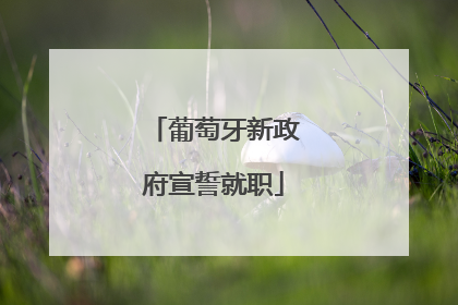葡萄牙新政府宣誓就职