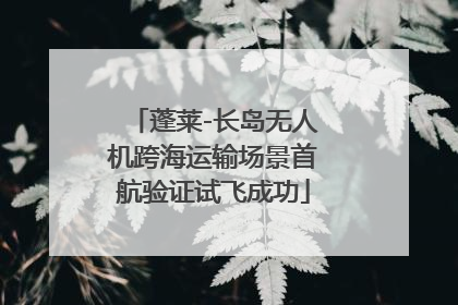 蓬莱-长岛无人机跨海运输场景首航验证试飞成功
