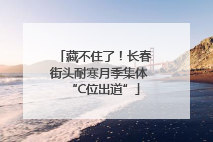 藏不住了！长春街头耐寒月季集体“C位出道”
