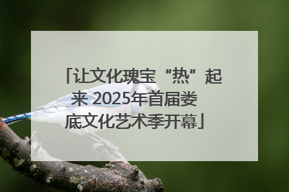 让文化瑰宝“热”起来 2025年首届娄底文化艺术季开幕