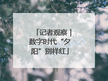 记者观察｜数字时代“夕阳”别样红