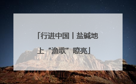 行进中国丨盐碱地上“渔歌”嘹亮