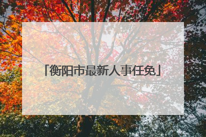 衡阳市最新人事任免