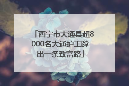 西宁市大通县超8000名大通护工蹚出一条致富路