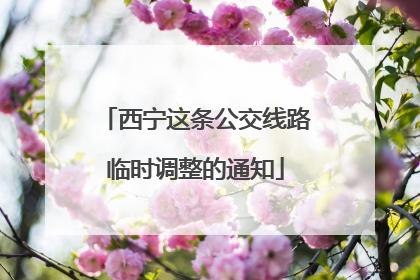 西宁这条公交线路临时调整的通知