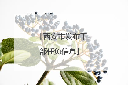 西安市发布干部任免信息