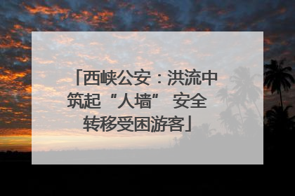 西峡公安：洪流中筑起“人墙” 安全转移受困游客