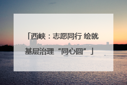 西峡：志愿同行 绘就基层治理“同心圆”