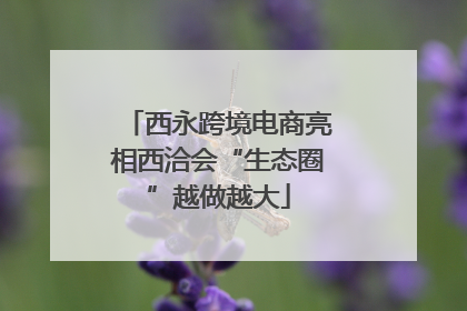 西永跨境电商亮相西洽会“生态圈”越做越大