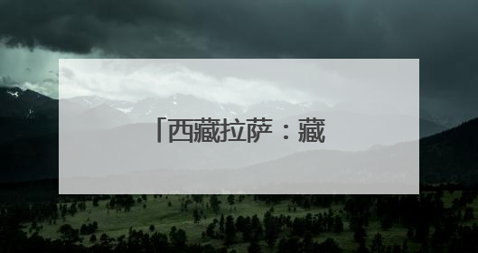 西藏拉萨：藏马鸡林间觅食