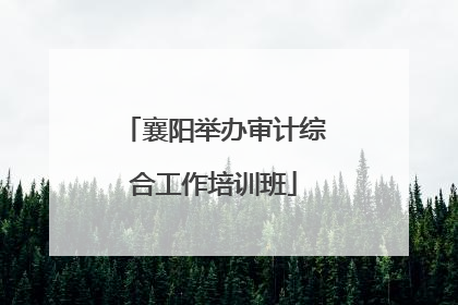 襄阳举办审计综合工作培训班