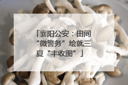 襄阳公安：田间“微警务”绘就三夏“丰收图”