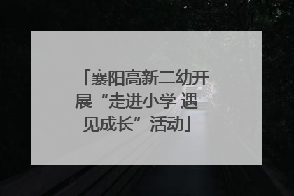 襄阳高新二幼开展“走进小学 遇见成长”活动