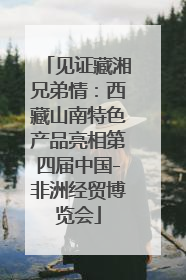 见证藏湘兄弟情：西藏山南特色产品亮相第四届中国-非洲经贸博览会