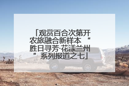 观赏百合次第开 农旅融合新样本 “胜日寻芳·花漾兰州”系列报道之七